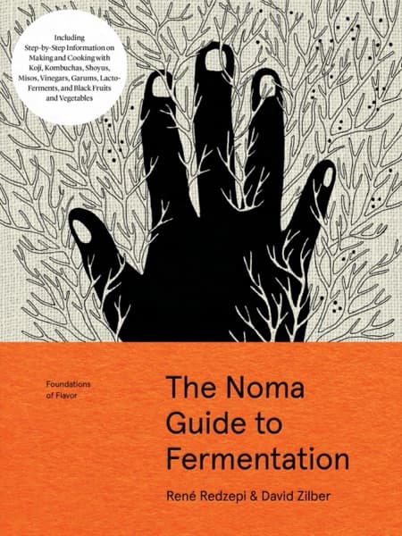 The Noma Guide to Fermentation — cover