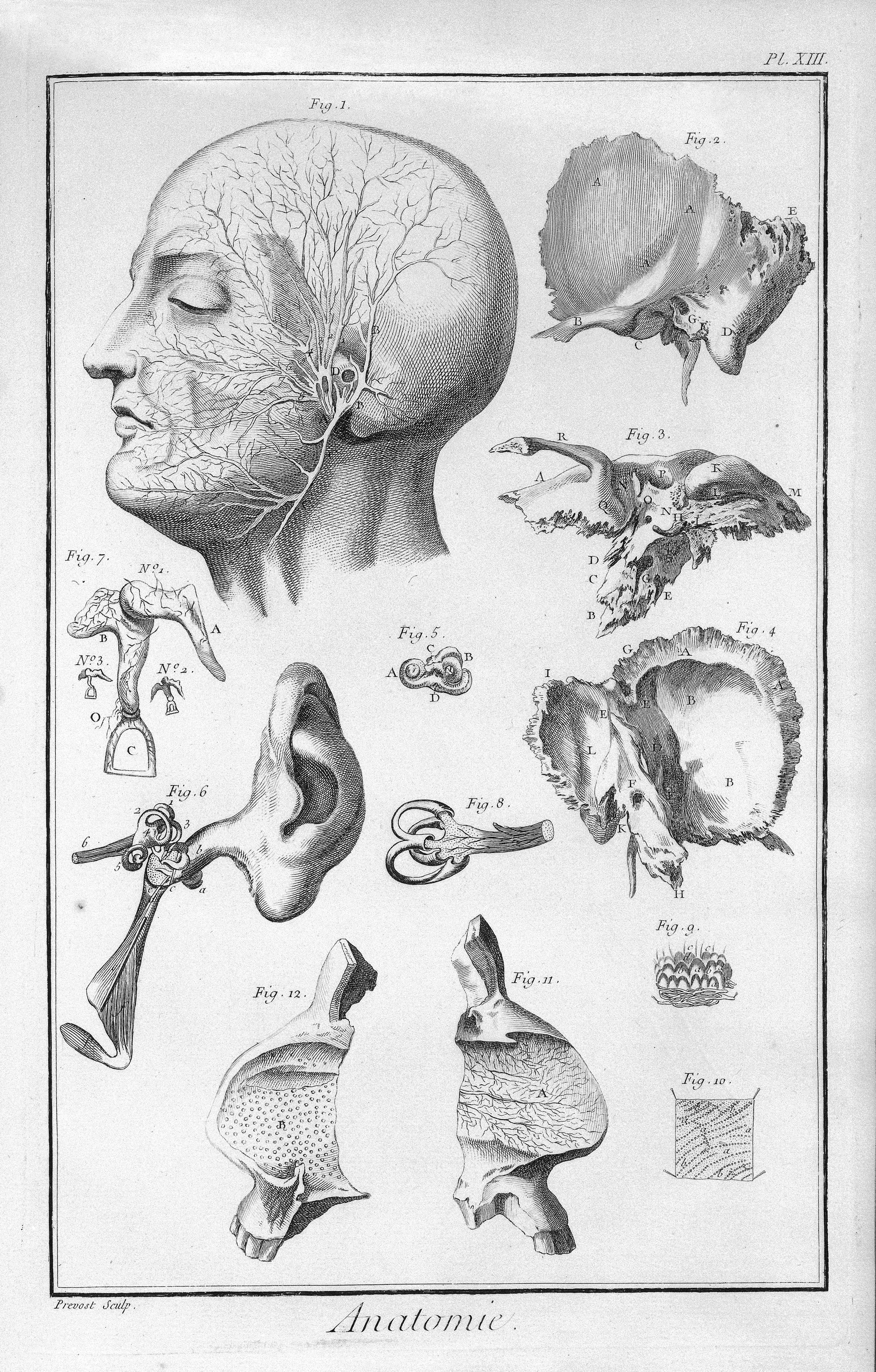 Diderot and d'Alembert, Encyclopédie frontispiece